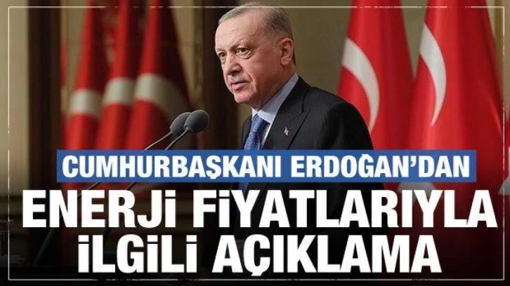 Cumhrubaşkanı Erdoğan'dan enerji fiyatlarıyla ilgili a&ccedil;ıklama