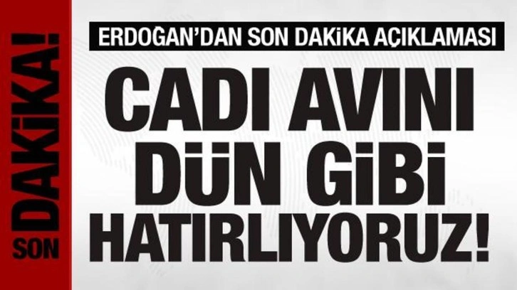 Cumhurbaşkanı Erdoğan: Cadı avını d&uuml;n gibi hatırlıyoruz!