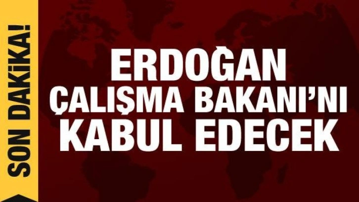 Cumhurbaşkanı Erdoğan, &Ccedil;alışma Bakanı'nı kabul edecek