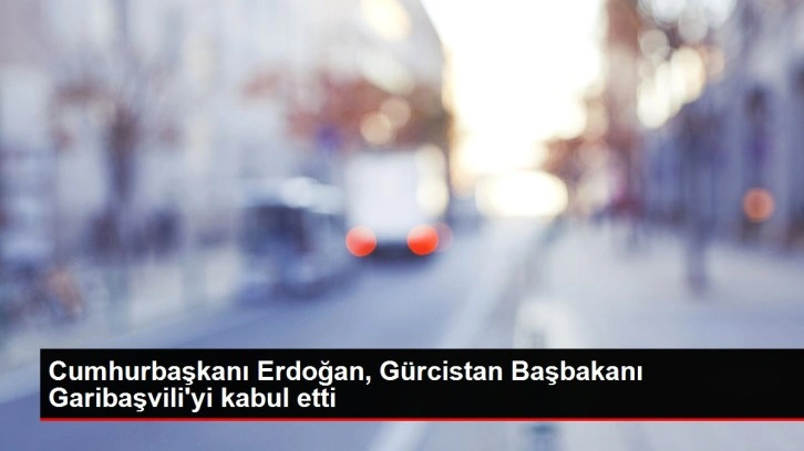 Cumhurbaşkanı Erdoğan, G&uuml;rcistan Başbakanı Garibaşvili'yi kabul etti