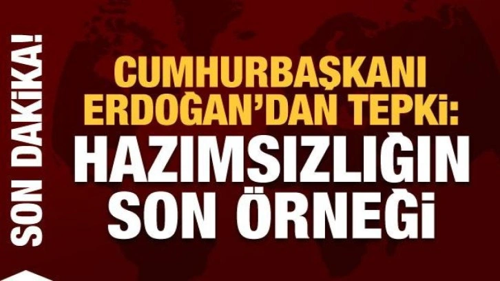 Cumhurbaşkanı Erdoğan: Hazımsızlıkları ilk değil son &ouml;rneği
