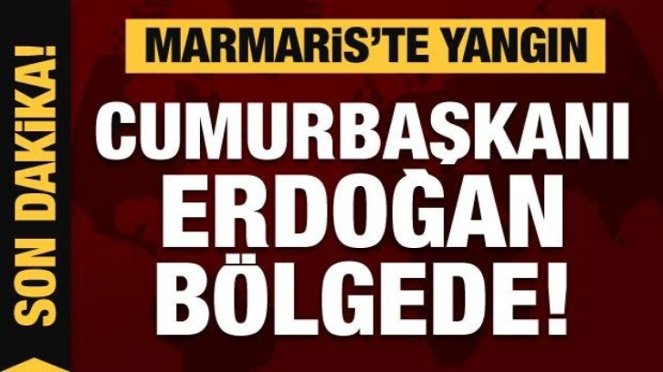 Cumhurbaşkanı Erdoğan Marmaris'teki yangın b&ouml;lgesinde