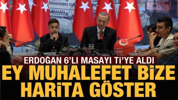 Cumhurbaşkanı Erdoğan muhalefete seslendi: Haritada g&ouml;sterin!
