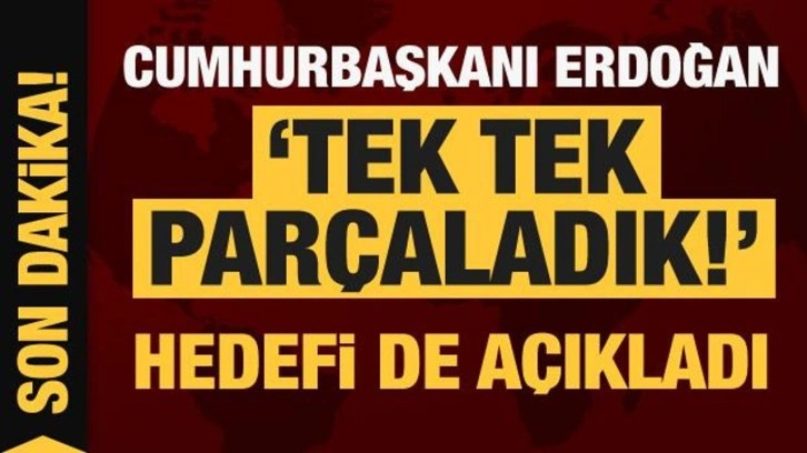 Cumhurbaşkanı Erdoğan 'Tek tek par&ccedil;aladık' diyerek hedefi a&ccedil;ıkladı