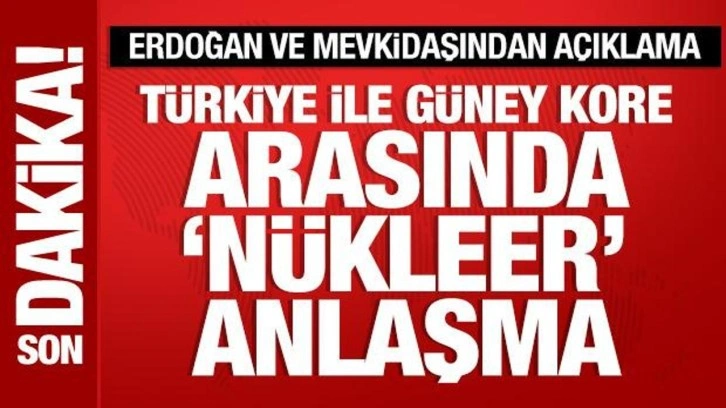 Cumhurbaşkanı Erdoğan ve Güney Koreli mevkidaşından ile ortak açıklama