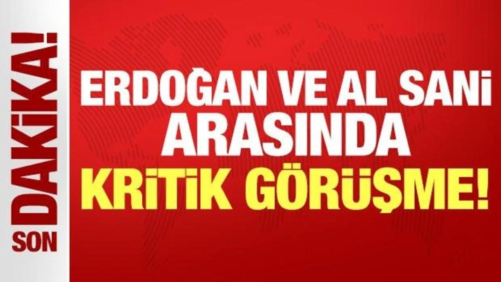 Cumhurbaşkanı Erdoğan ve Katar Emiri Al Sani arasında kritik görüşme!