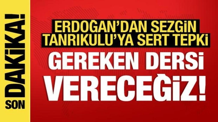 Cumhurbaşkanı Erdoğan'dan CHP'li Tanrıkulu'na sert tepki: Ter&ouml;rist m&uuml;sveddesi!