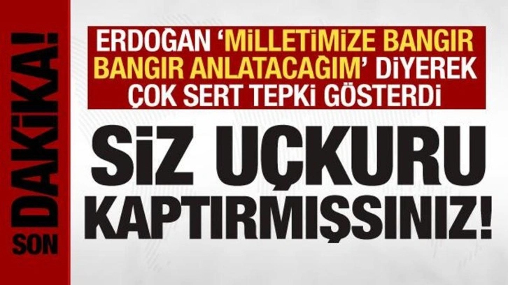 Cumhurbaşkanı Erdoğan'dan &ccedil;ok sert tepki: U&ccedil;kuru kaptırmışsınız!