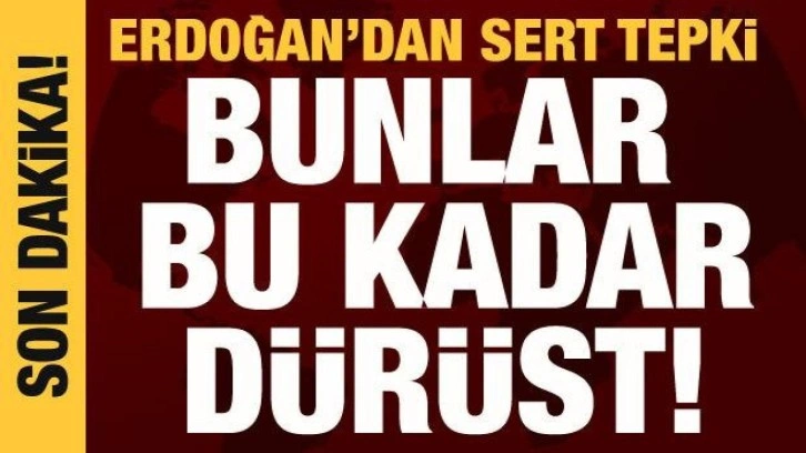 Cumhurbaşkanı Erdoğan'dan muhalefete baş&ouml;rt&uuml;s&uuml; tepkisi