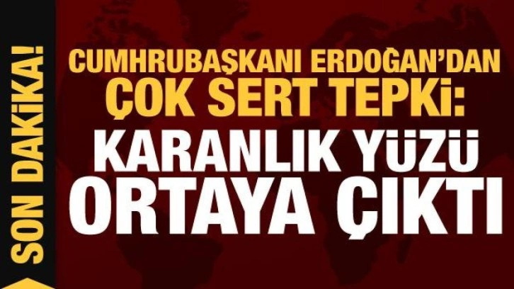 Cumhurbaşkanı Erdoğan'dan tepki: Karanlık y&uuml;z&uuml; ortaya &ccedil;ıktı