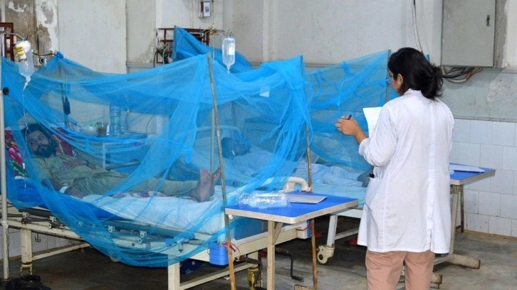 Dang hummasından &ouml;lenlerin sayısı 300'&uuml; aştı