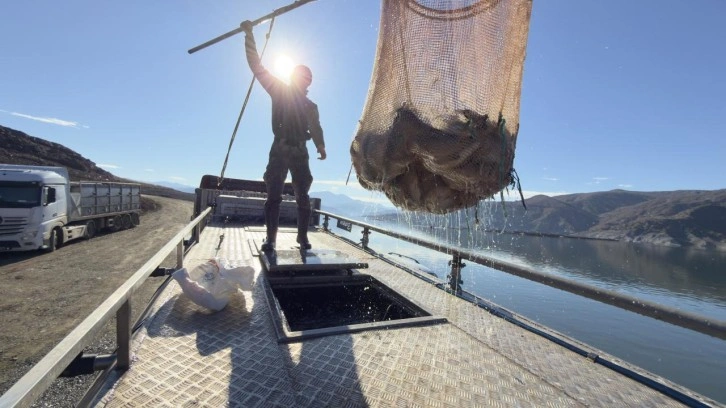 Denizi olmayan şehirden Japonya ve Avrupa'ya somon ihracatı