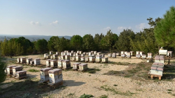 Dolandırıcıların yeni gözdesi! Kilosu 20 bin lira: Yüzde 90'ı sahte!