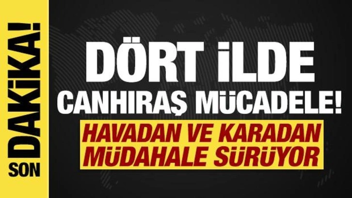 Dört ilde orman yangını! Müdahale sürüyor...
