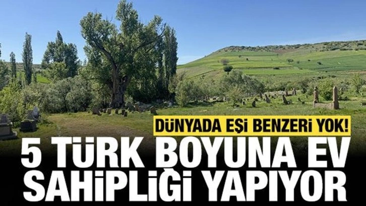 Dünyada tek bir örneği yok: 5 Türk boyuna ev sahipliği yapıyor!
