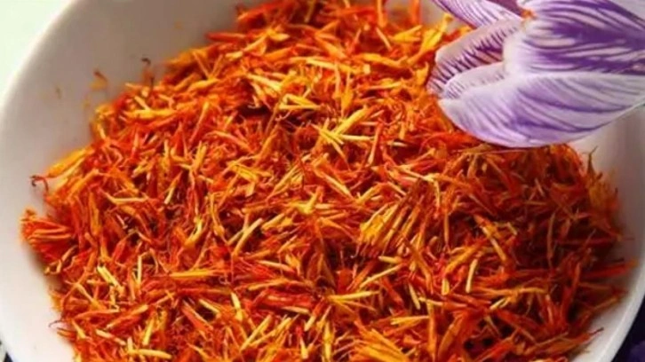 Dünyanın en pahalı baharatı! Adana'da hasat edildi Gramı tam 600 TL