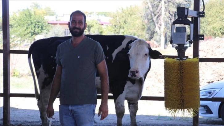 e-Devlet'ten başvuru yaptı, süt çiftliği sahibi oldu!