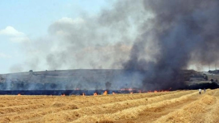 Edirne'de 250 d&ouml;n&uuml;m buğday tarlası yandı