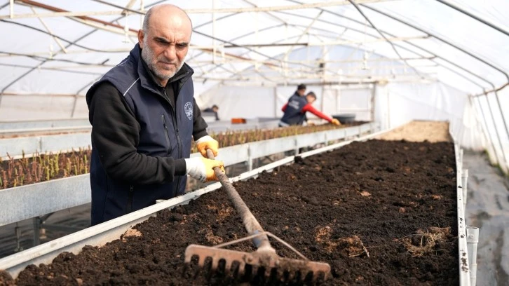 ELAZIĞ BELEDİYESİ&rsquo;NDEN G&Uuml;L &Uuml;RETİMİ
