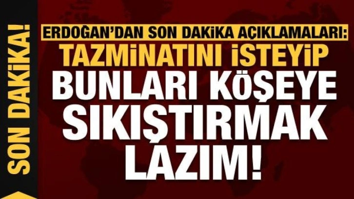 Erdoğan ve Aliyev'den a&ccedil;ıklamalar: Tazminatını isteyip, bunları k&ouml;şeye sıkıştırmak lazım!