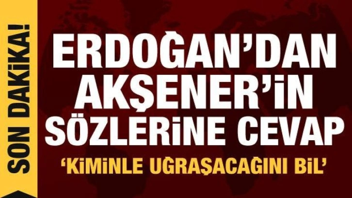 Erdoğan'dan Akşener'in papatya &ccedil;ayı &ouml;nerisine cevap: Rezene i&ccedil;!