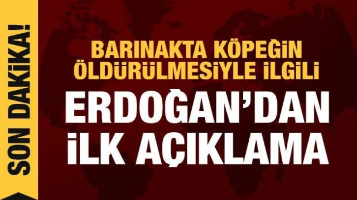 Erdoğan'dan barınakta &ouml;ld&uuml;r&uuml;len k&ouml;pek hakkında a&ccedil;ıklama