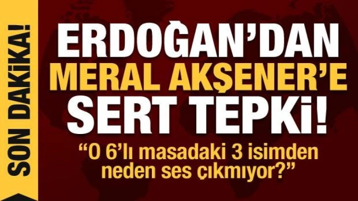Erdoğan'dan Meral Akşener'e sert tepki: O 6'lı masadaki 3 isimden neden ses &ccedil;ıkmıyor?
