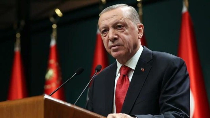 Erdoğan'dan &ouml;nemli &ccedil;ağrı: Sahiplenmeye davet ediyorum