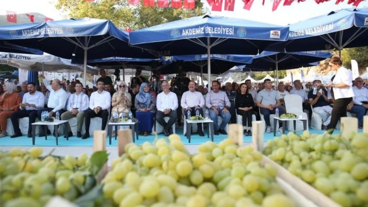 'Esenli &Uuml;z&uuml;m Şenliği' binlerce kişinin katılımıyla ger&ccedil;ekleşti