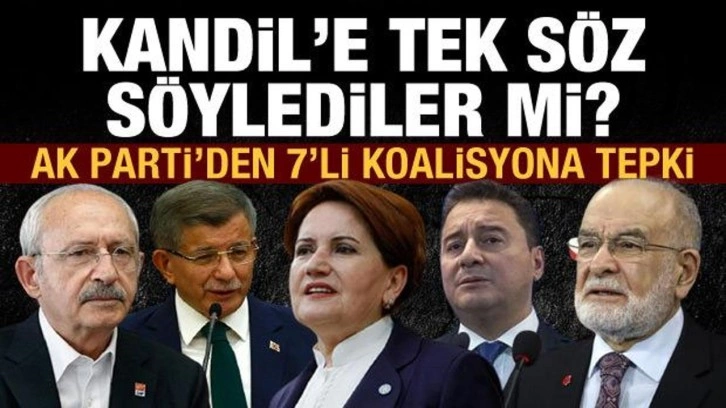 Hamza Dağ: 7'li koalisyondan Kandil'e tepki g&ouml;steren oldu mu?
