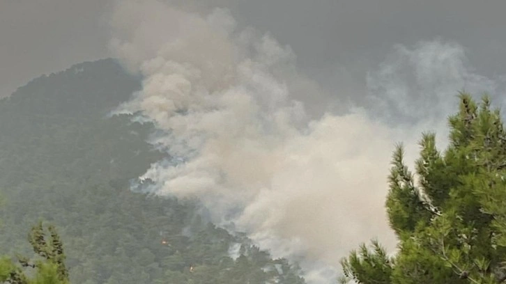 Hatay'da iki ayrı noktada çıkan yangın kontrol altına alındı