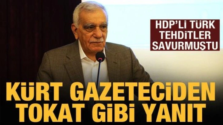 HDP'li Ahmet T&uuml;rk'&uuml;n tehditlerine K&uuml;rt gazeteciden tokat gibi yanıt!