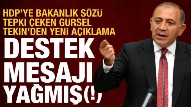 "HDP'ye bakanlık verilebilir" s&ouml;zleri tepki &ccedil;ekmişti: G&uuml;rsel Tekin'den yeni a&ccedil;ık
