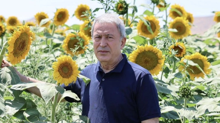 Hulusi Akar'dan ayçiçeği tarlasında anlamlı mesaj: Terörsüz Büyük Güçlü Türkiye - TBGT