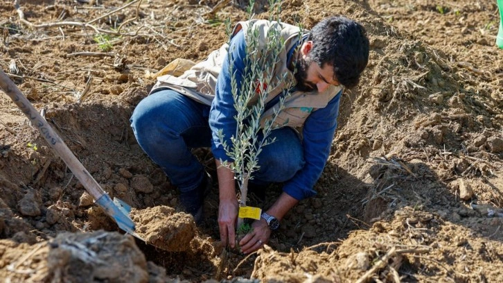 İHH’dan 3 ildeki çiftçilere 25 bin fidan desteği