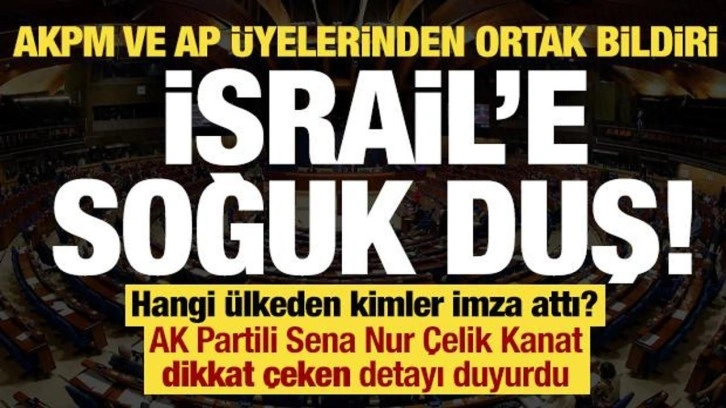 İsrail'e soğuk duş, AKPM ve AP üyelerinden ortak bildiri! Hangi ülkeden kimler imza attı?