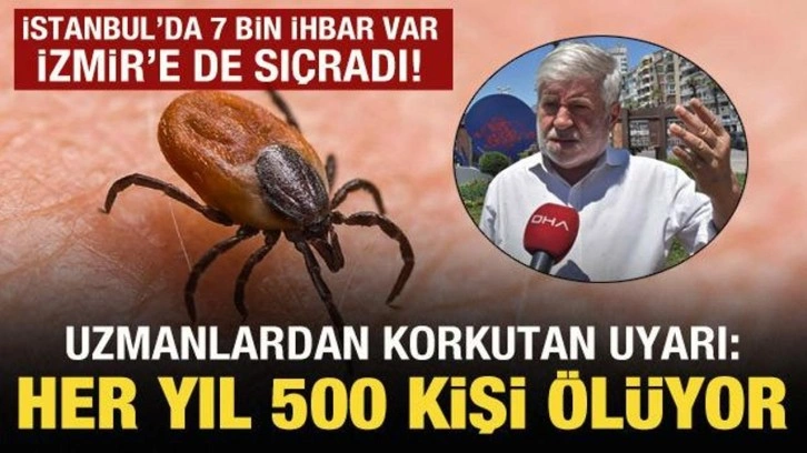 İstanbul'dan sonra İzmir'e sıçradı! Her yıl 500 kişi ölüyor!