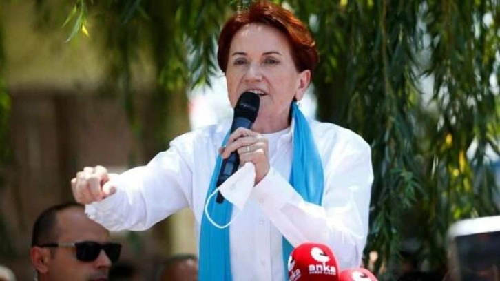 İYİ Parti lideri Akşener'i sokak k&ouml;peği ısırdı