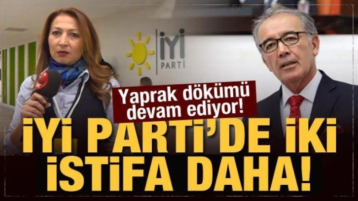 İYİ Parti'nin kurucularından Ahat Andican ve Emine K&uuml;&ccedil;&uuml;kali istifa etti!