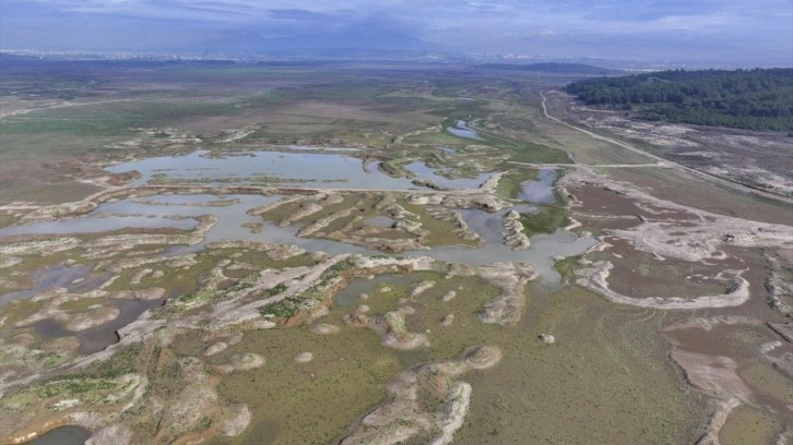 İzmir'de barajlar kuruyor, kritik eşik aşıldı: Önümüzdeki yaz daha tehlikeli olacak!