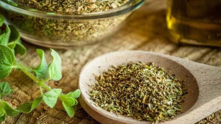 Kanserden koruyor, iltihabı yok ediyor! Sağlığınıza en güçlü yatırım...