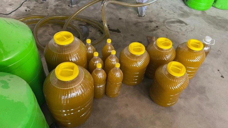 Kara meyveden altın sıvıya yolculuk: 6 kilodan 1 kilo &ccedil;ıkıyor