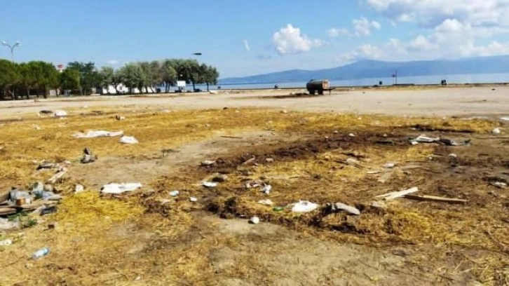 Karasinek sorununun altından CHP'li belediye &ccedil;ıktı! Su&ccedil;u b&uuml;y&uuml;kşehir belediyesine attı