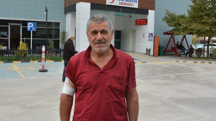 Kastamonu'da ayı saldırısı! Kaçarken yamaçtan düştü