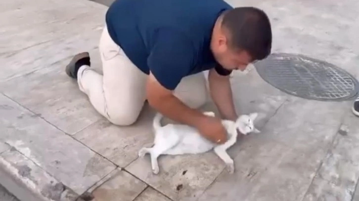 Kediyi, suni teneffüs ve kalp mesajı ile kurtarmaya çalıştı