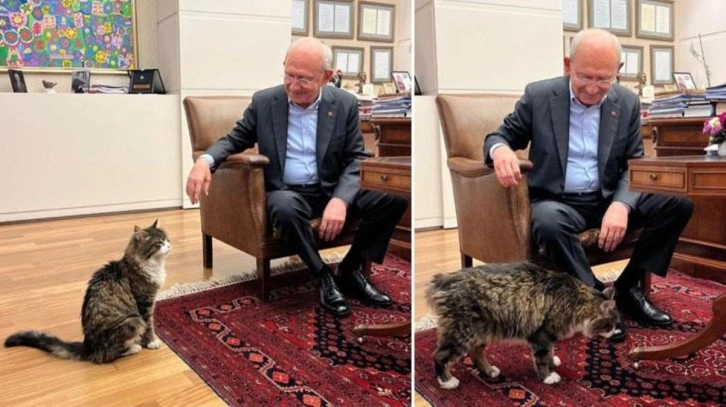 Kılı&ccedil;daroğlu Şero'ya s&ouml;z verdi: İktidara gelince yaş mamayı l&uuml;ks olmaktan &ccedil;ıkaracağım