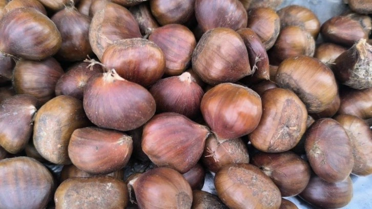 Kış sofralarının vazge&ccedil;ilmezi! Kestane, fiyatıyla y&uuml;zleri g&uuml;ld&uuml;r&uuml;yor