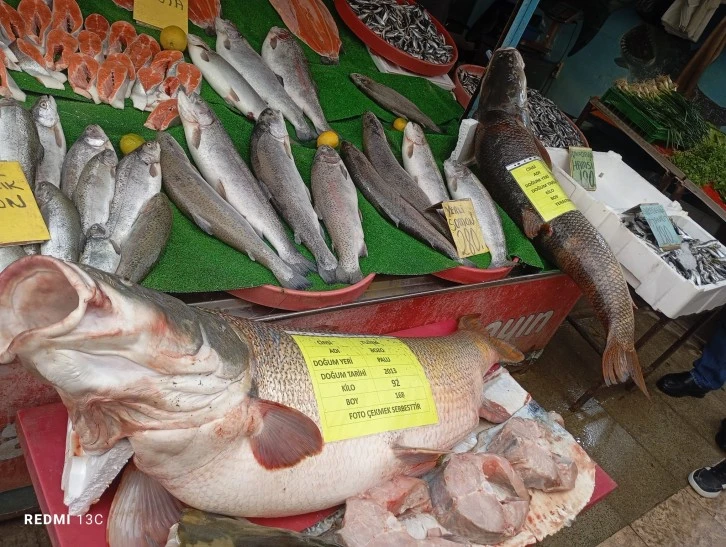 K&ouml;şem Balık&rsquo;ta Dev Balıklar Tezgahta!