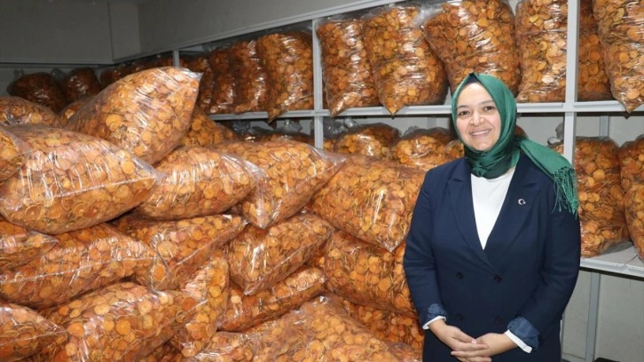 KOSGEB desteğiyle hayatı değişti! Kadın girişimci şimdi Kanada'ya ihracat yapıyor