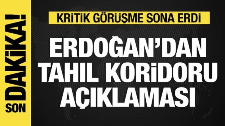 Kritik g&ouml;r&uuml;şme sona erdi! Erdoğan ve Zelenski'den tahıl koridoru a&ccedil;ıklaması